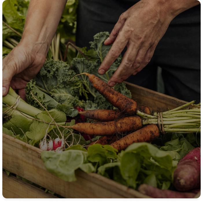 What Makes BUNKR Different